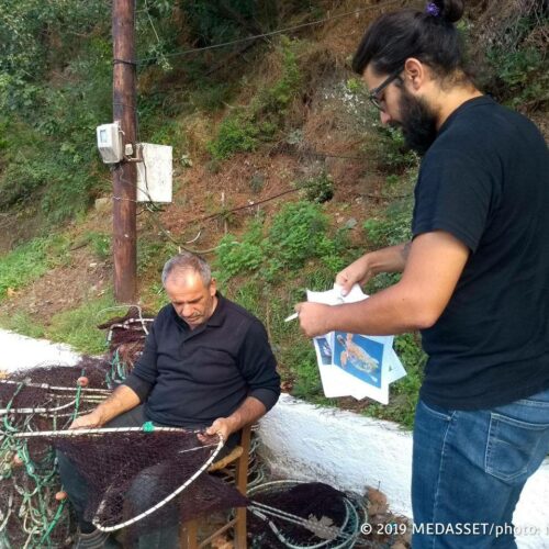 Θαλάσσιες χελώνες: Έρευνες στο Βόρειο Αιγαίο