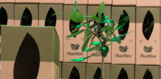 PlantBox