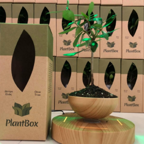 PlantBox: To μικροσκοπικό ελαιόδεντρο