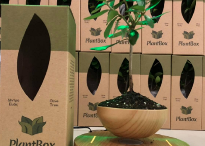 PlantBox