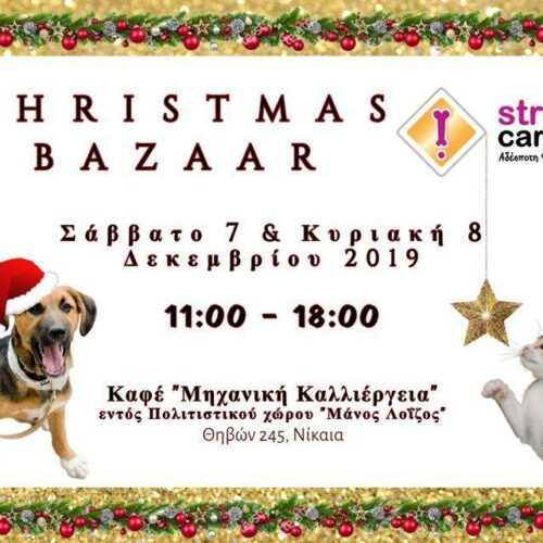 Χριστούγεννα: Bazaar από τη Straycare για τα αδέσποτα