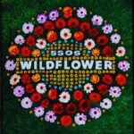 Wildflower