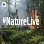 Nature live