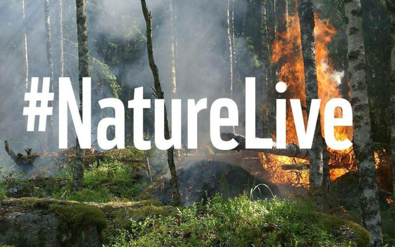 Nature live