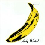 the velvet underground