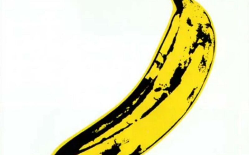 the velvet underground