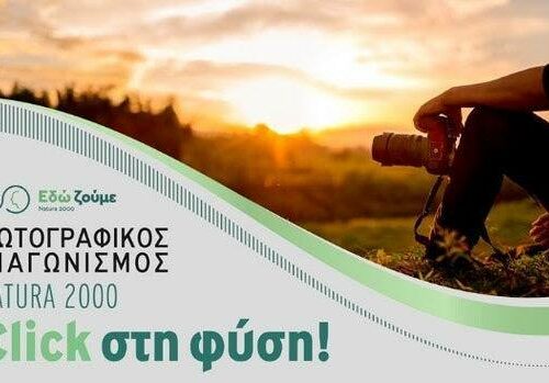 WWF Ελλάς: «Click στη φύση!» – Μεγάλος φωτογραφικός διαγωνισμός