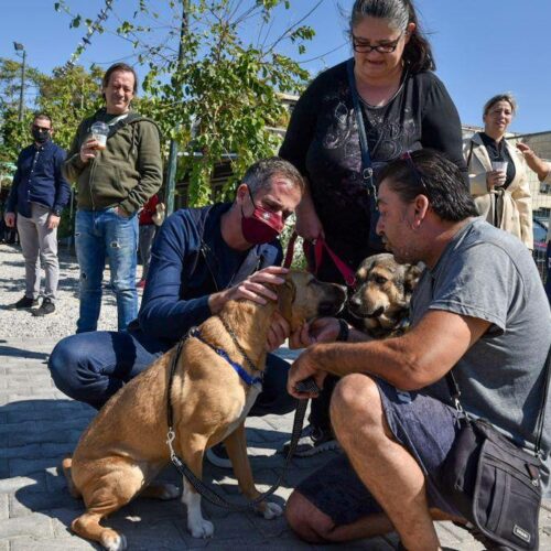 Αδέσποτα ζώα: Το καταφύγιο για τα σκυλιά στην Αθήνα