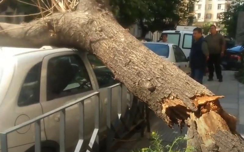 Χιόνια αποζημιώσεις