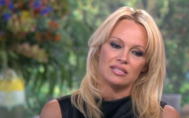 Η Pamela Anderson θα βάλει τα πράγματα στη θέση τους για το sex tape μέσω Netflix!