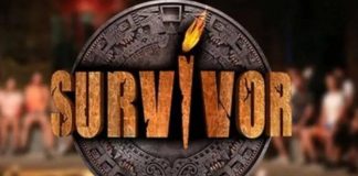 Survivor All Star