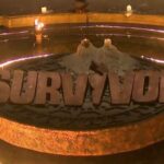 Survivor All Star