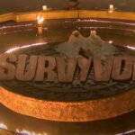 Survivor All Star