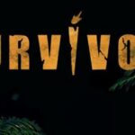 Survivor All Star