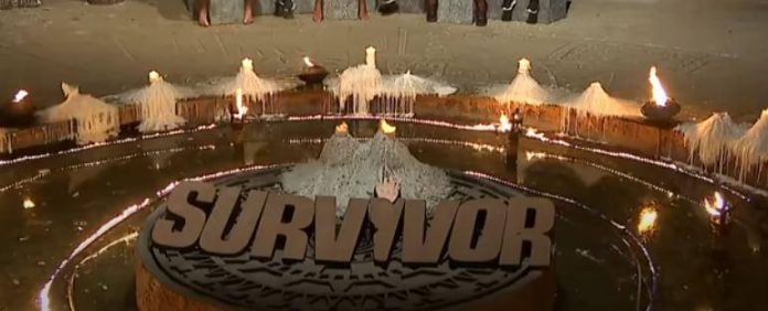 Survivor All Star