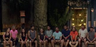 Survivor All Star