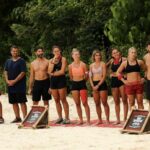 Survivor All Star