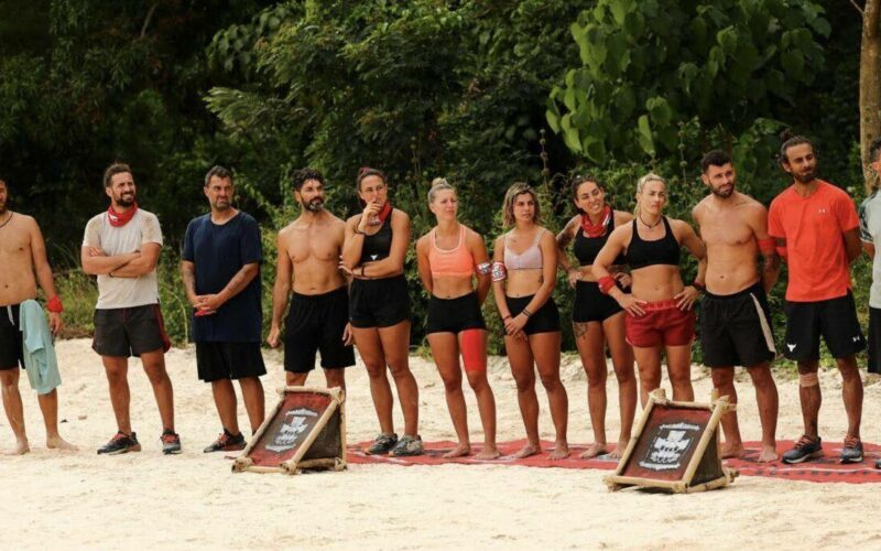 Survivor All Star