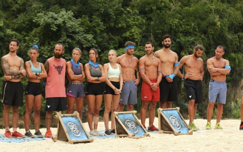 Survivor All Star