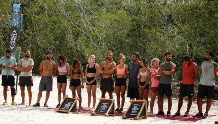 Survivor All Star