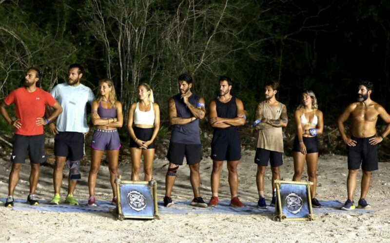 Survivor All Star