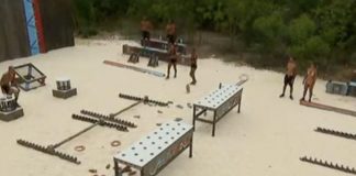 Survivor All Star