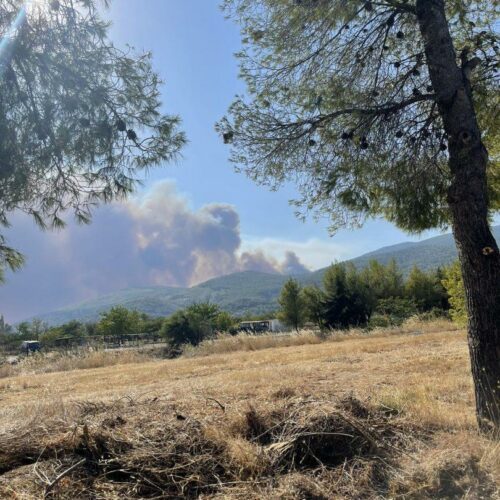 Πάρνηθα: Η μεγάλη φωτιά απειλεί ξανά το βουνό