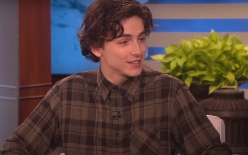 Timothée Chalamet: Όσα δεν ήξερες για τον ηθοποιό