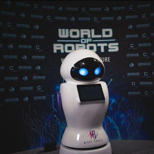 World of Robots: Η έκθεση στο Κέντρο Πολιτισμού