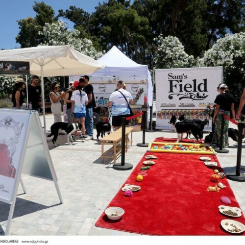 Woof Festival: H Cosmos Pet Supplies στη γιορτή των κατοικιδίων